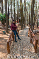 Hutan Pinus Mangunan yogyakarta