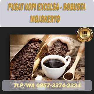 kopi excelsa mojokerto