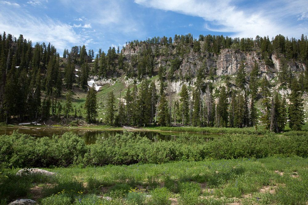 The Garlick Press Steam Mill Hollow