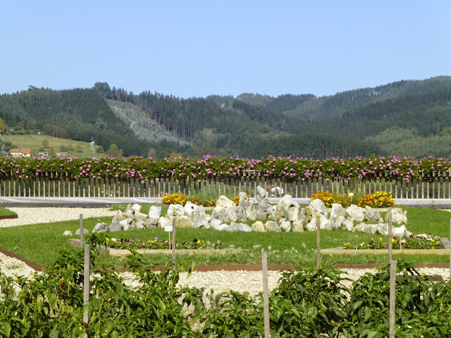 Vista desde el complejo Azurmendi, por El Guisante Verde Project