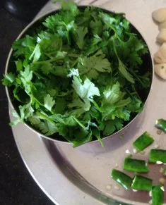 chop-the-coriander-chilli