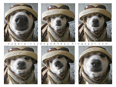 Fashion Fast Woof!