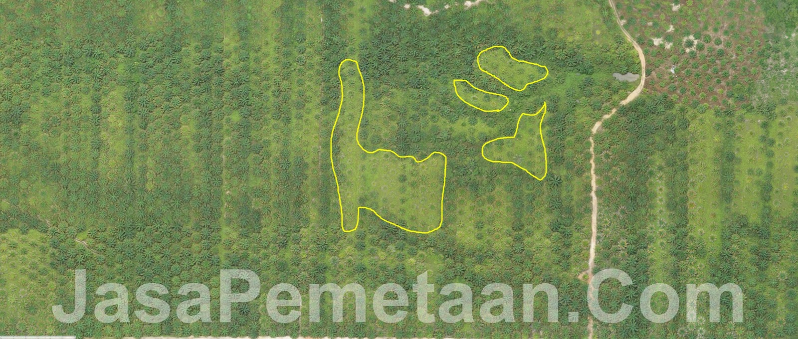 Jasa survey pemetaan untuk kebun Jasa Pemetaan dan Fotografi Udara Drone