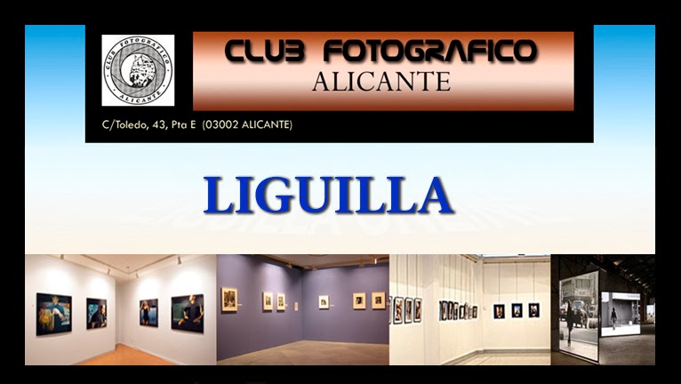 clubfotograficoalicante_liguilla