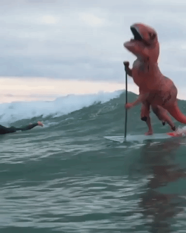 giphy%2B%25281%2529.gif