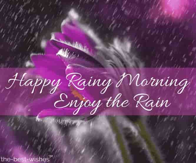31 Perfect Good Morning Wishes For A Rainy Day Best Images 215 slogans on rainy season.