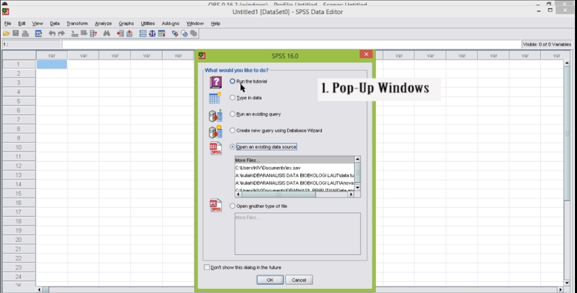 Pengenalan Aplikasi Analisis Statistika Tampilan Dan Bagian Bagian Spss Mahasiswa Excel