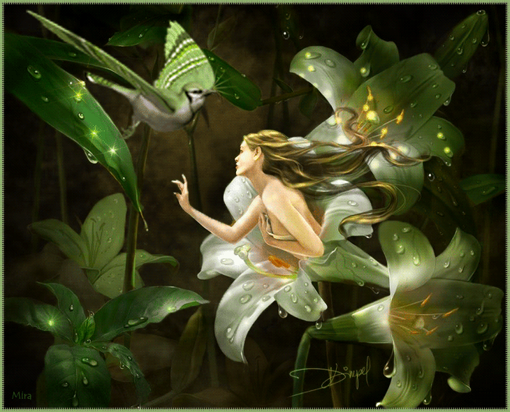 The Test Blog for Blogger and Gadgets: &quot;Are Fairies Real???&quot;