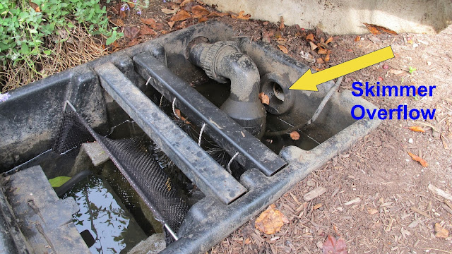 detecting a leak in  your pond measuring your water loss