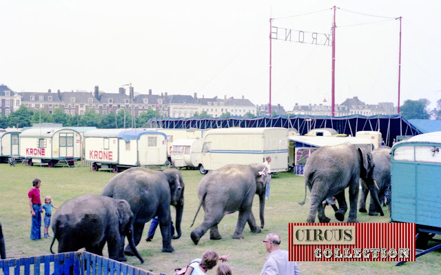 les éléphants du cirque Krone 