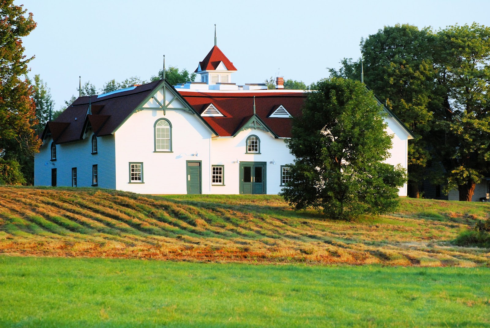 The Brown Knowser Moore Moore Moore!