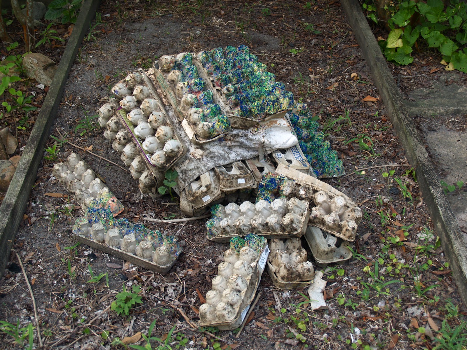 Greg Patch egg carton foundation for the arts to compost (three weeks