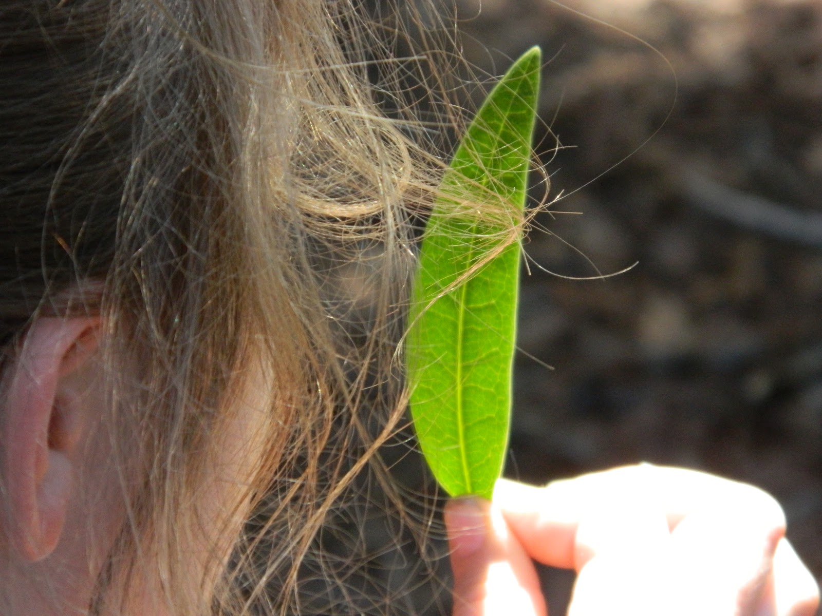 Kindergarten Milestones: July 2012