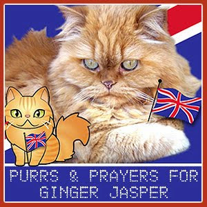 Purr for Ginger Jasper