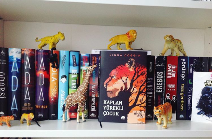 Kaplan Yurekli Cocuk Kitap Yorumu