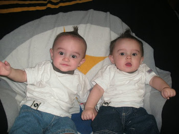 Noah and Elijah 8 months