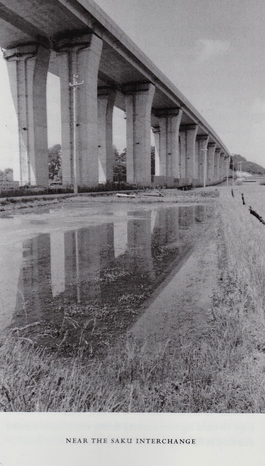 Spencer Alley Minae Mizumura