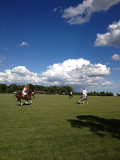 Polo at Sunset