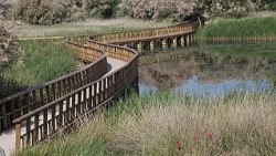 Parque Nacional Tablas de Daimiel