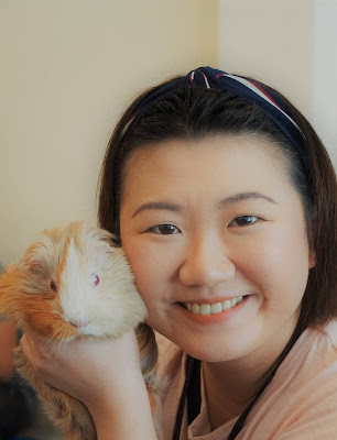 Guinea Pig gathering