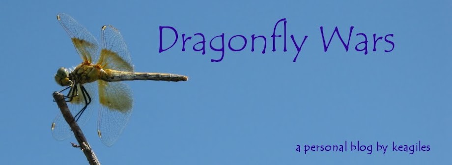 Dragonfly Wars