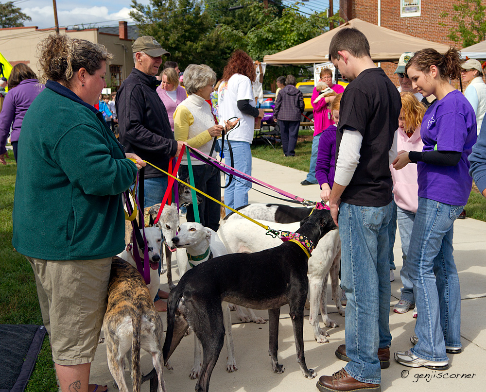 genji's corner Fredericksburg Downtown Dog Fair
