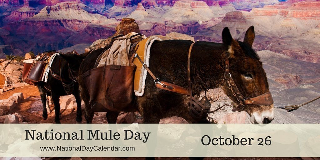 National-Mule-Day-October-26.jpg