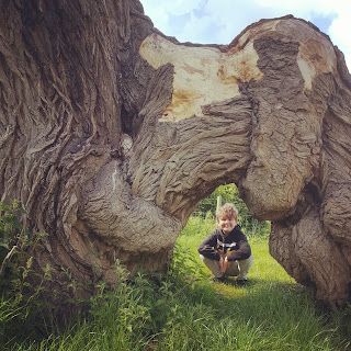Dan Jon Jr in an arch of a tree