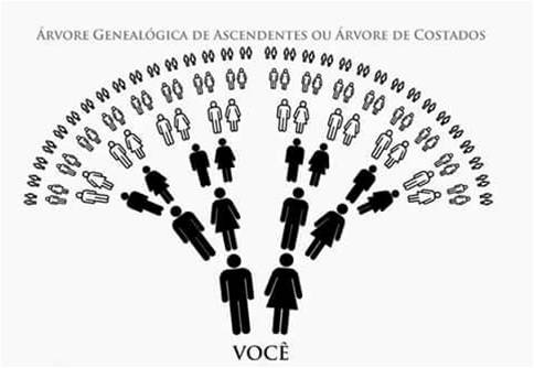 reprogramação biológica toq constelação familiar thetahealing