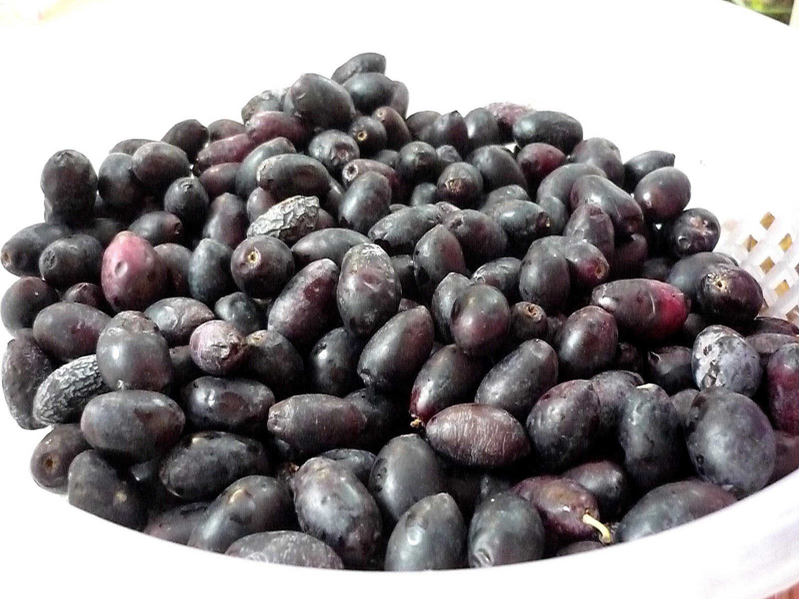 StyleListRoom....... Salt Cured Ripe Black Olive Recipe צימוקי