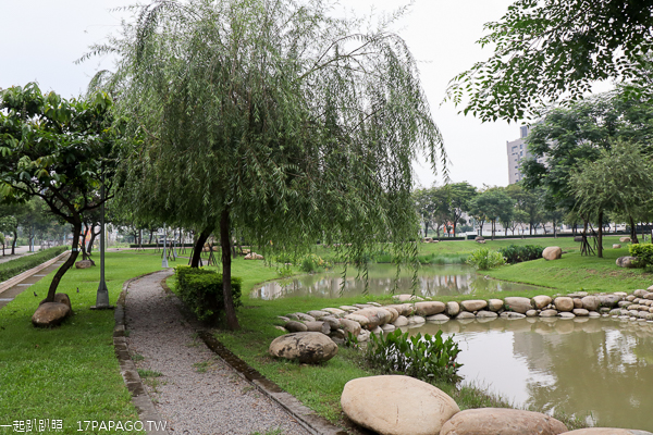 台中北屯|廍子公園|黃花風鈴木|滑板場|巨人腳印公園|綠籬迷宮|生態池|拱橋 台中北屯|廍子公園|黃花風鈴木|滑板場|巨人腳印公園|綠籬迷宮|生態池|拱橋