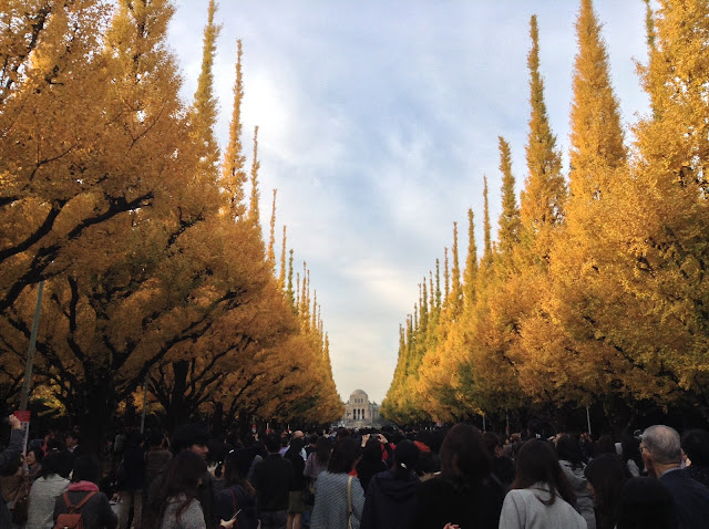 gingko tress gaienmae