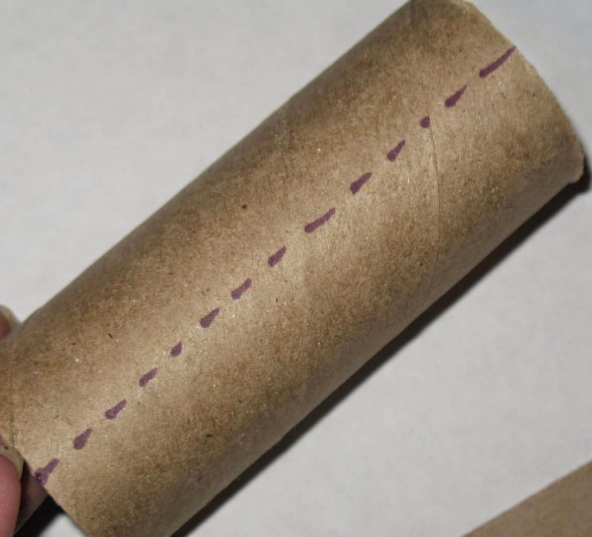 CraftyColie DIY/Tutorial Toilet Paper Roll Recycle for Craft Storage