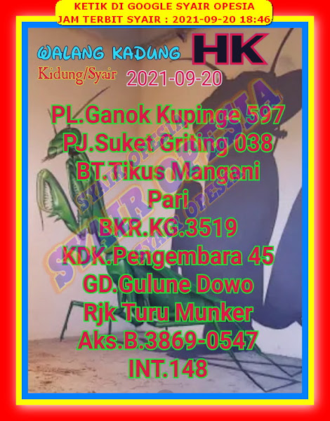 syair hongkong syair hongkong
