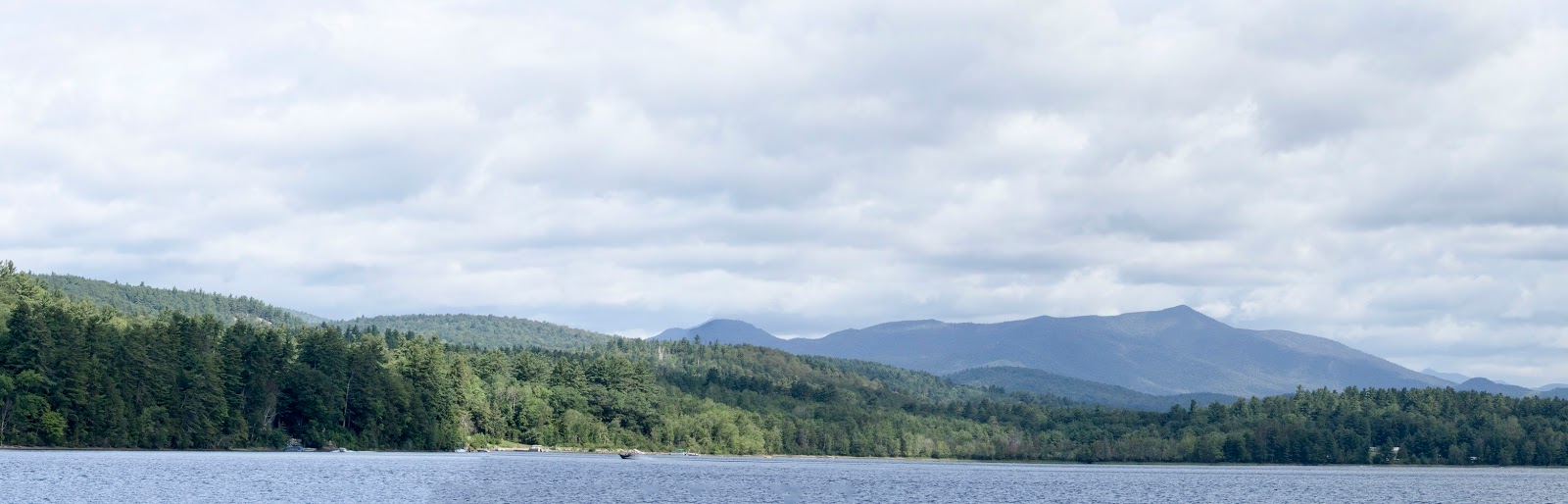 Beachgirl's Blog Schroon Lake Common Loons