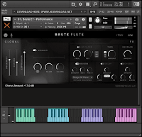 Sonixinema Brute Flute KONTAKT Library
