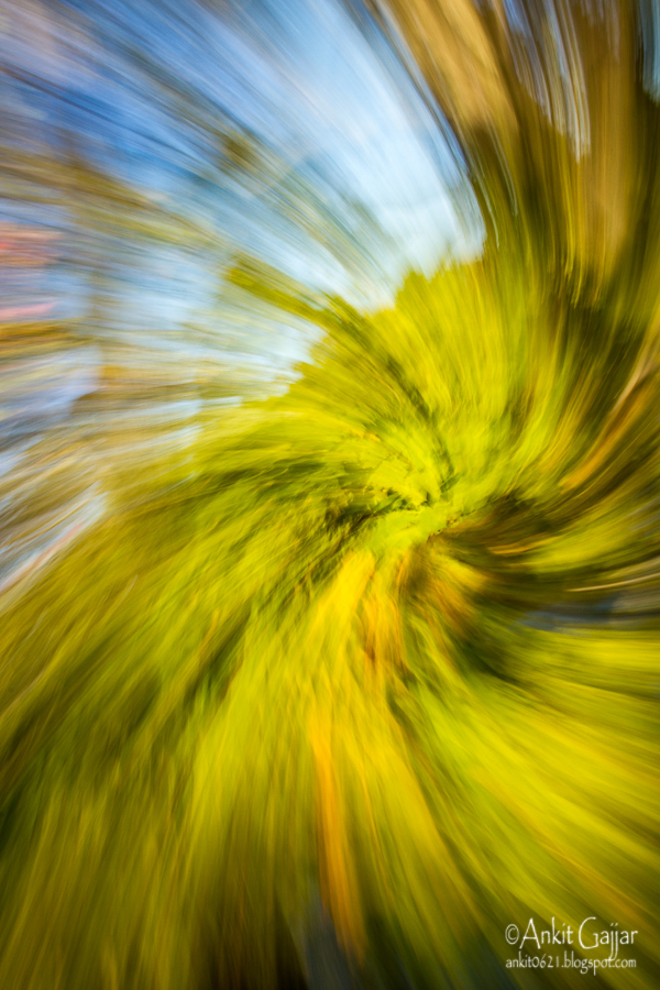 Ankit's Photography Blog Zoom Burst with a Spin