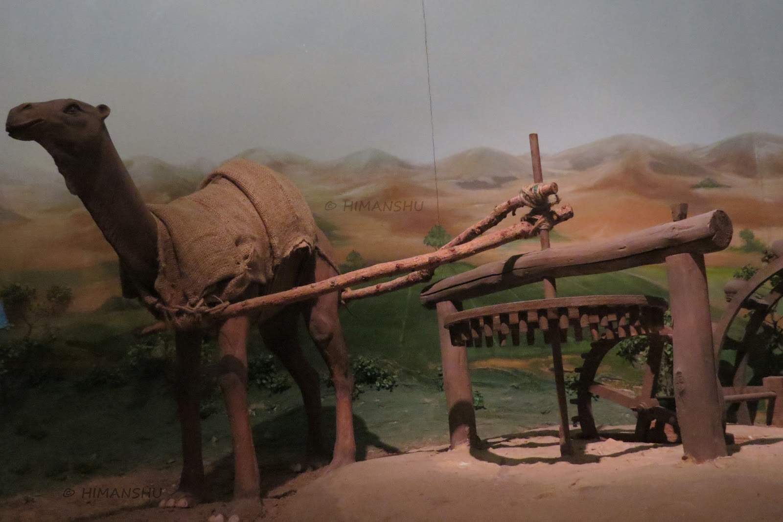 National Science Center