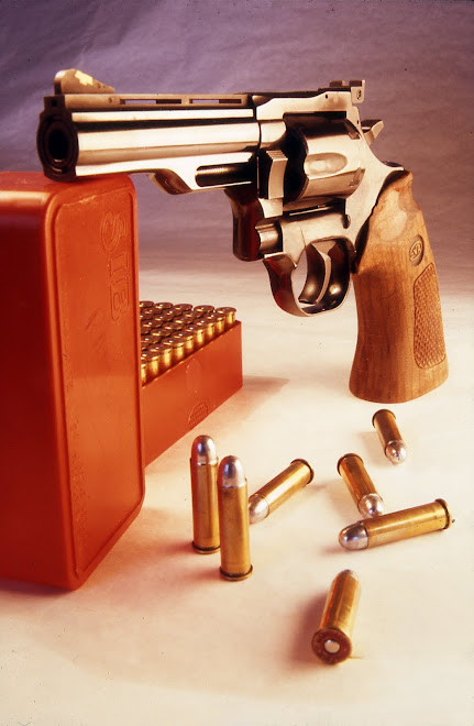 357 Magnum Dan Wesson