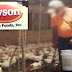 “You didn’t see that” — Hidden Camera Exposes Horrible Secret of McDonald’s and Tyson’s Chicken Farming (video)