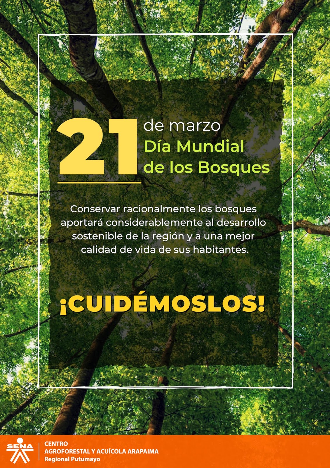 Centro Agroforestal y Acuícola Arapaima Día Mundial de los Bosques