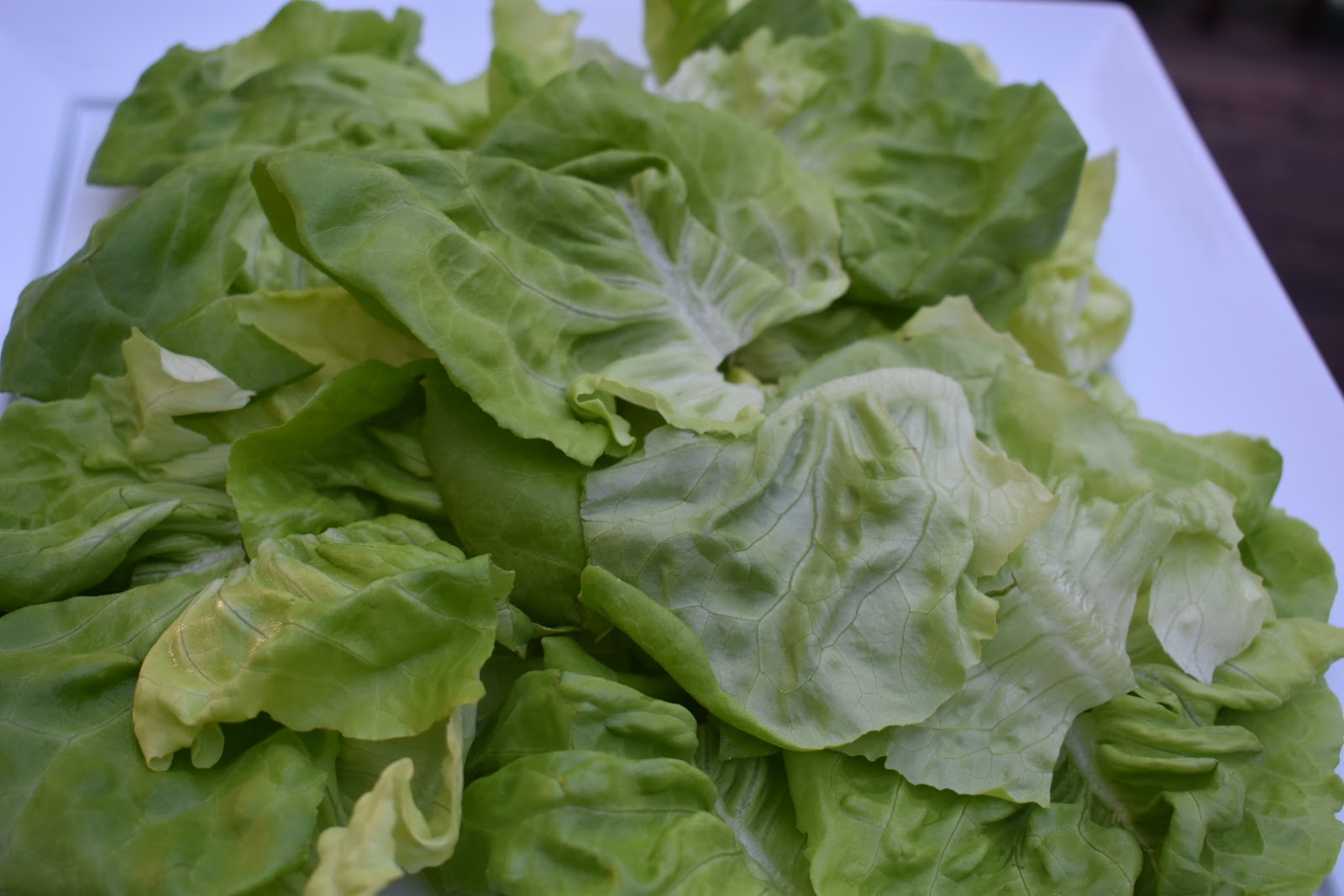 Bacon, Pear and Blue Cheese Chicken Salad with Dijon Vinaigrette Chef Jen