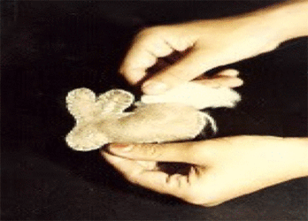 Menyisakan sedikit sisi kira-kira 3 cm untuk memasukan bahan isi Untuk Cara Membuat Boneka Kelinci Imut Dari Kain Flanel