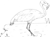 flamingo coloring pages
