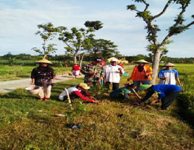 BABINSA JATISUMO BERSAMA MASYARAKAT LAKSANAKAN PENGHIJAUAN