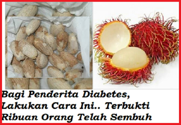 Biji Rambutan Ubat Kencing Manis  Opening h