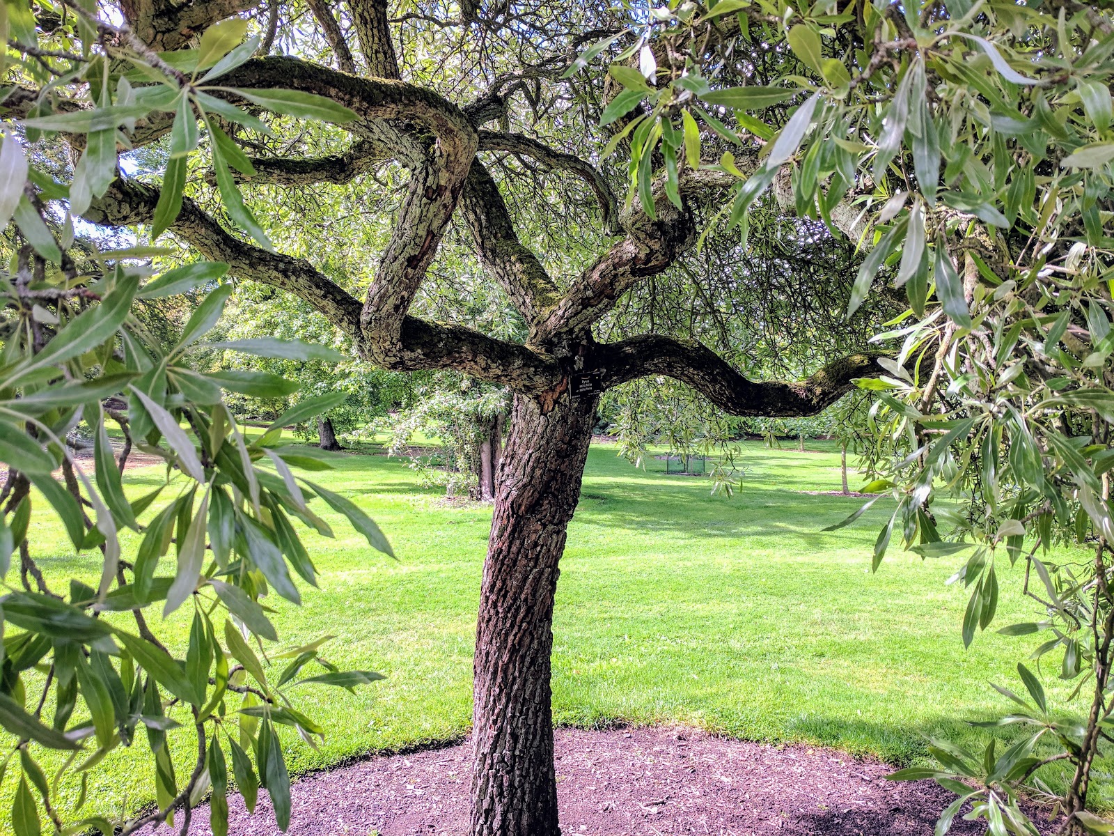 Is The Royal Botanic Garden Edinburgh Worth Seeing in the Summer?