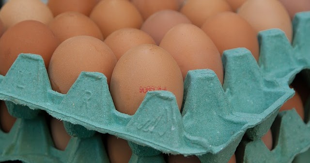 Cara Bisnis Agen Telur Ayam - Lukman Info