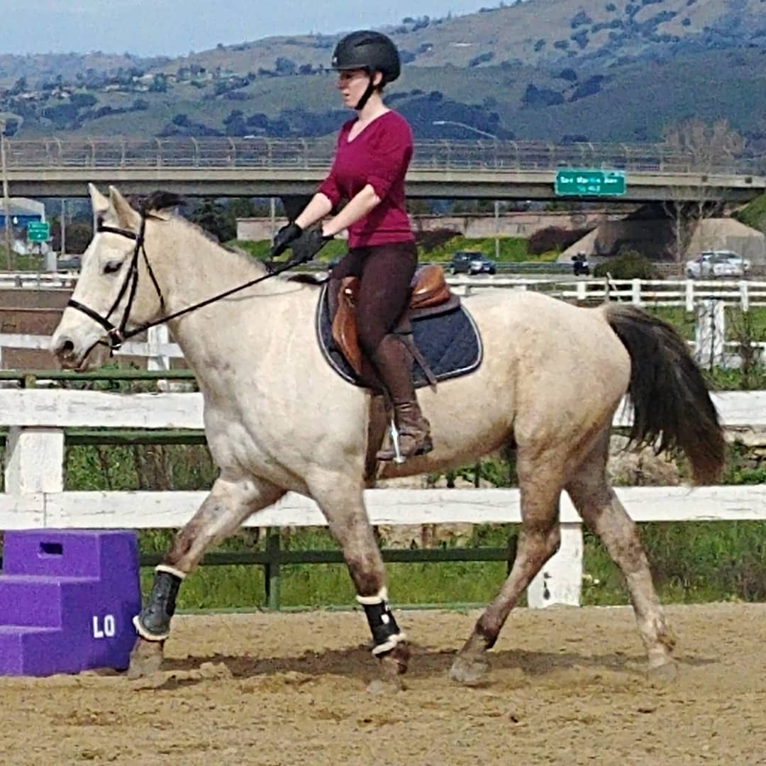 Cob Jockey Jumping FLOUNDER!