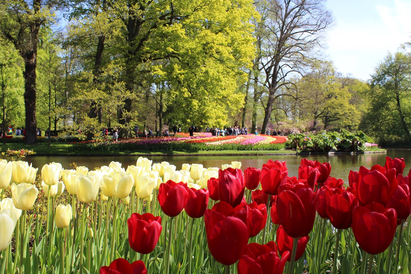 An Ordinary Wife's Day To Day Blog: Keukenhof The Largest Tulip Park In ...